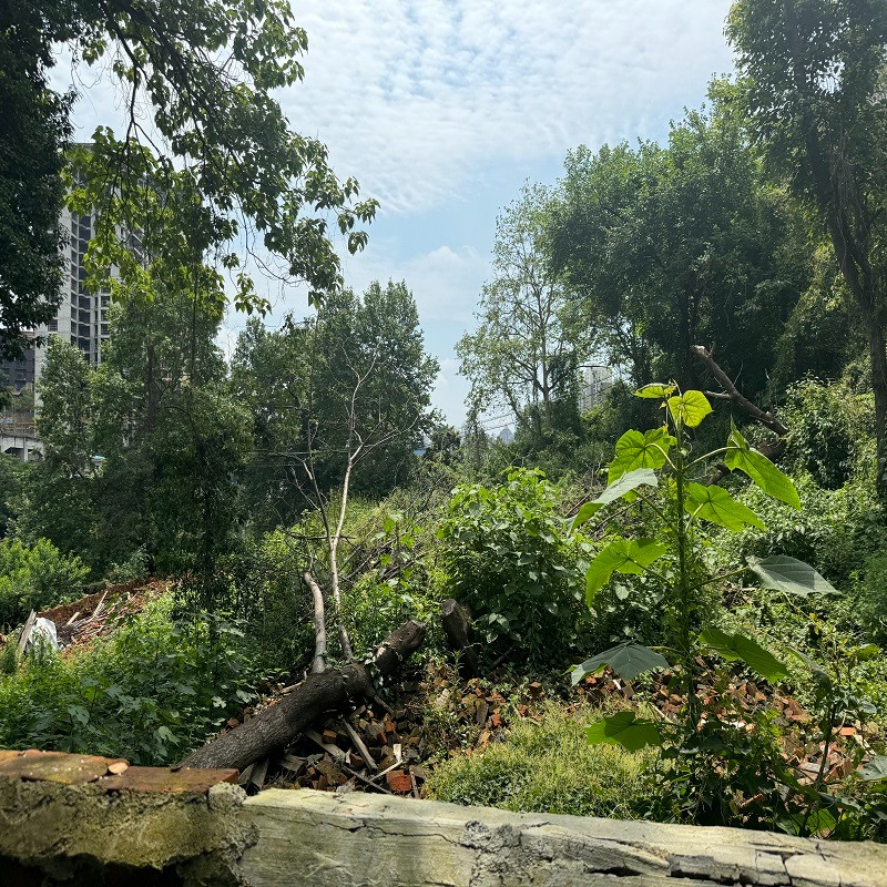 圖片關鍵詞