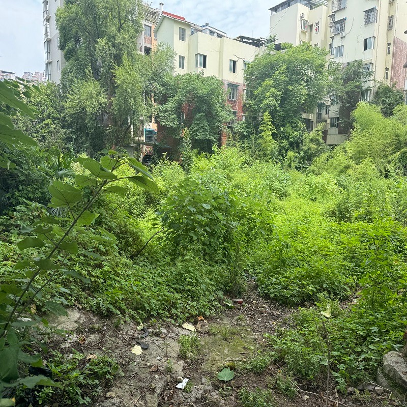 圖片關鍵詞